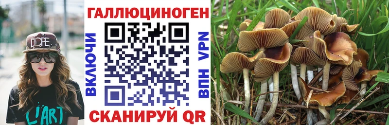 Псилоцибиновые грибы MAGIC MUSHROOMS Глазов